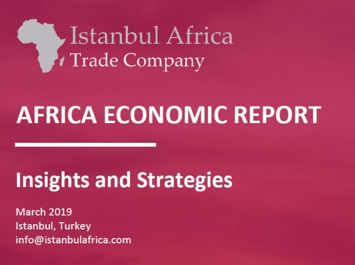 Africa Economic Report – Insights and Strategies