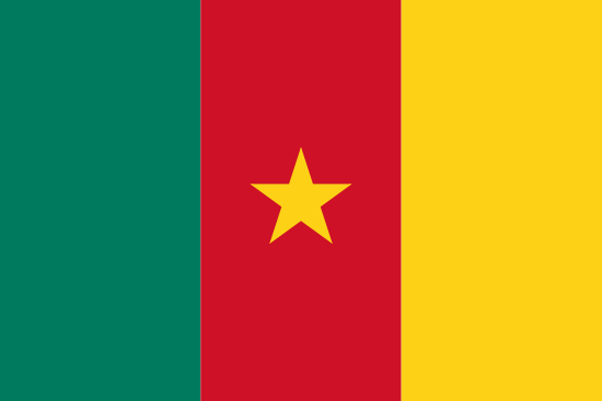 africa country flag