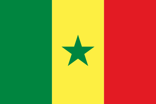 africa country flag