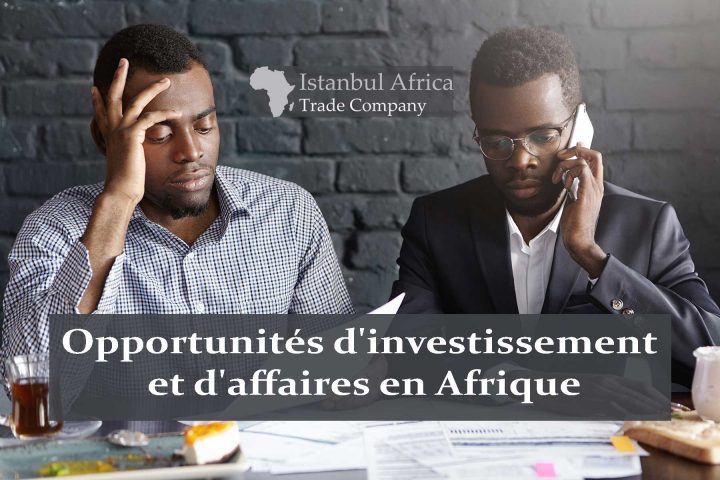 Top 25 des opportunités d&rsquo;investissement et d&rsquo;affaires en Afrique