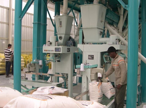 Maize and Wheat Mill Processing Plant Maize and Wheat Mill Processing Plant