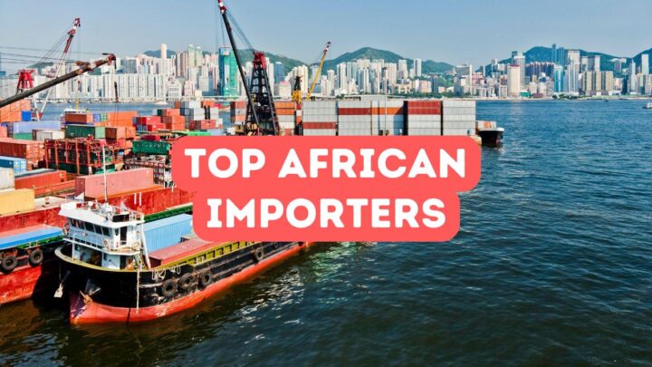 Top African Importers of Turkish Goods