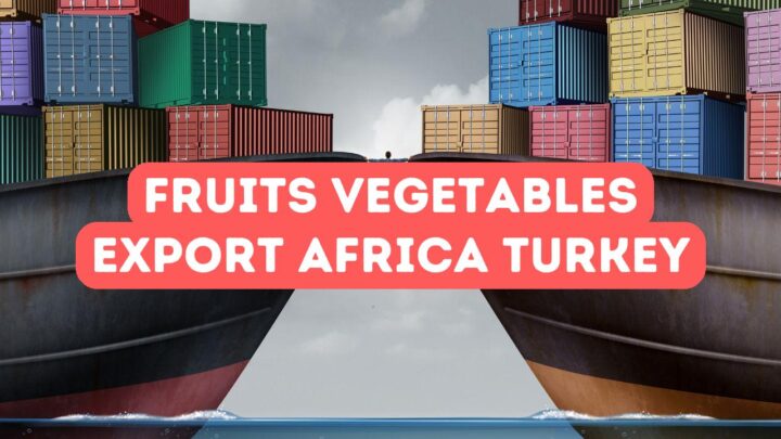 Fruits and Vegetables Export from Africa to Turkey