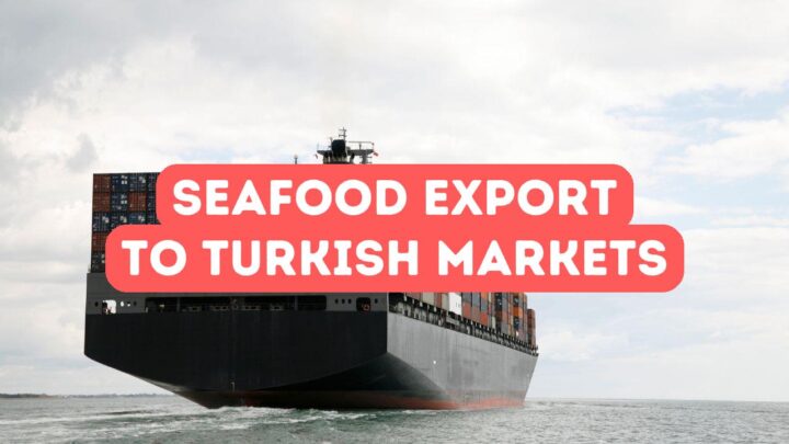 Seafood and Fish Export to Turkish Markets